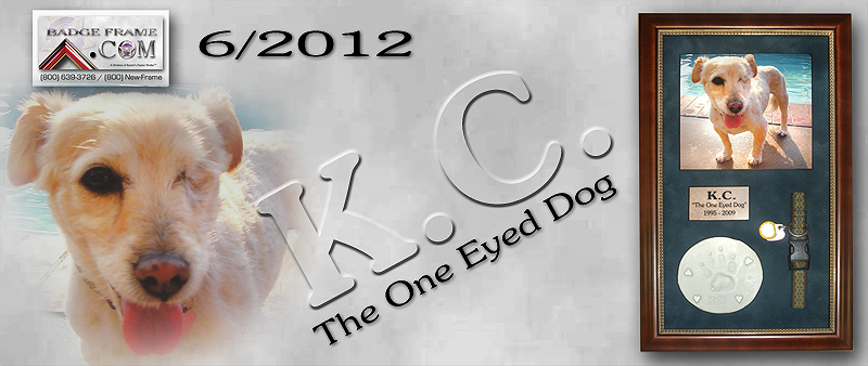 K.C. The one eyed dog...