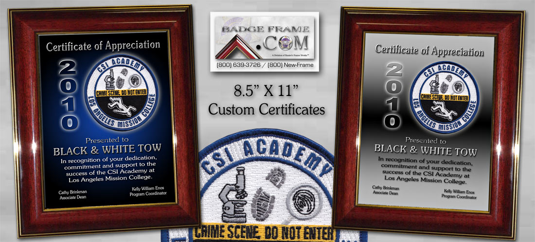 CSI Academy
                Certifiate