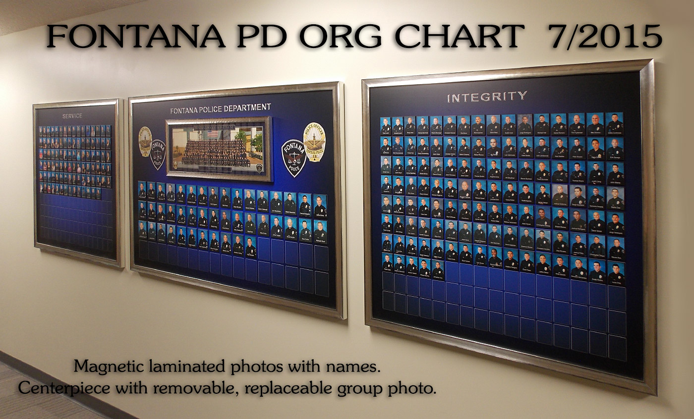 Organizational Chart Display