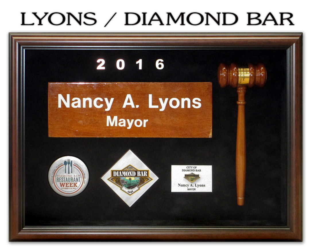 Lyons - Judge presentation from Badge Frame