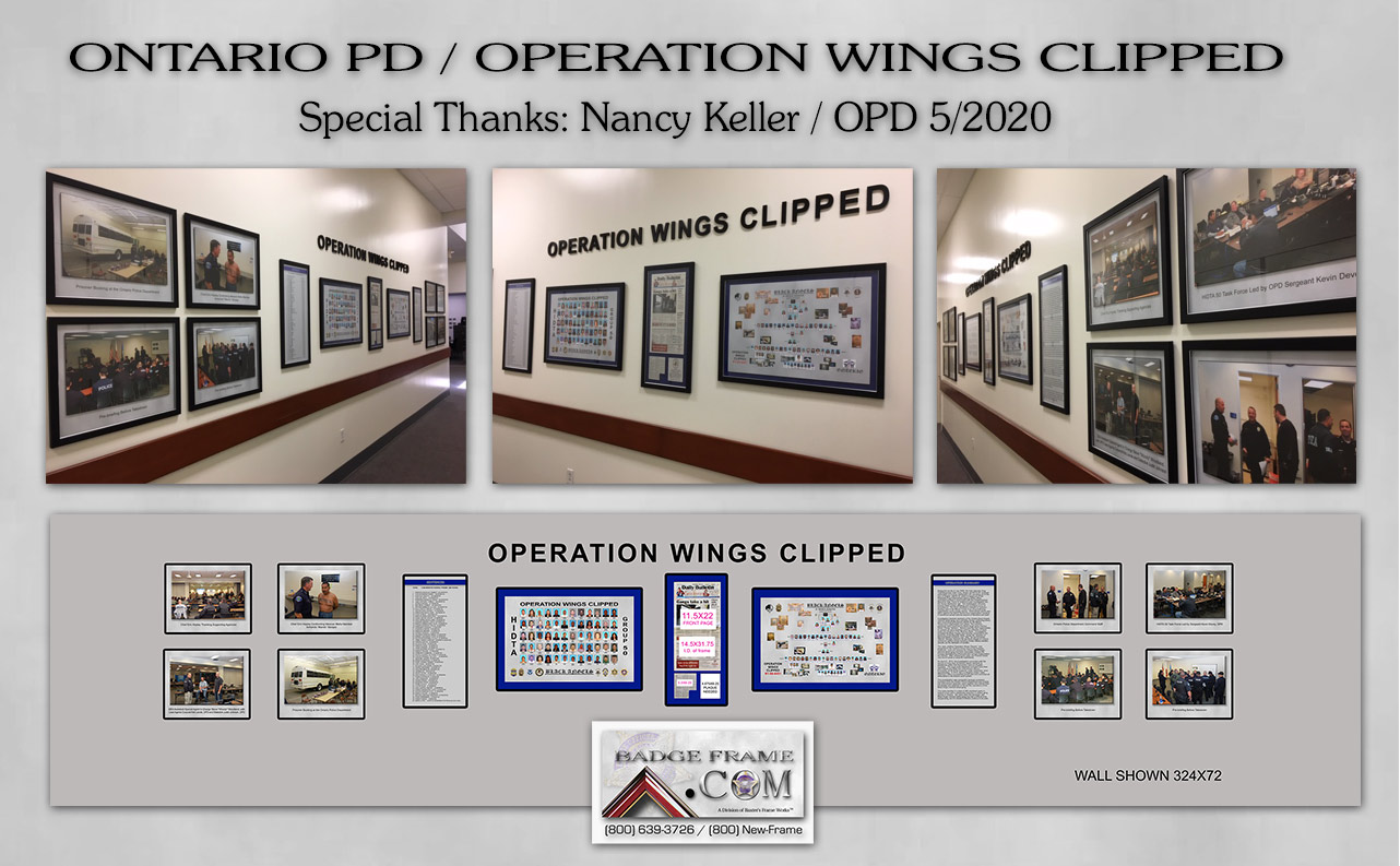 operation-wings-clipped.jpg