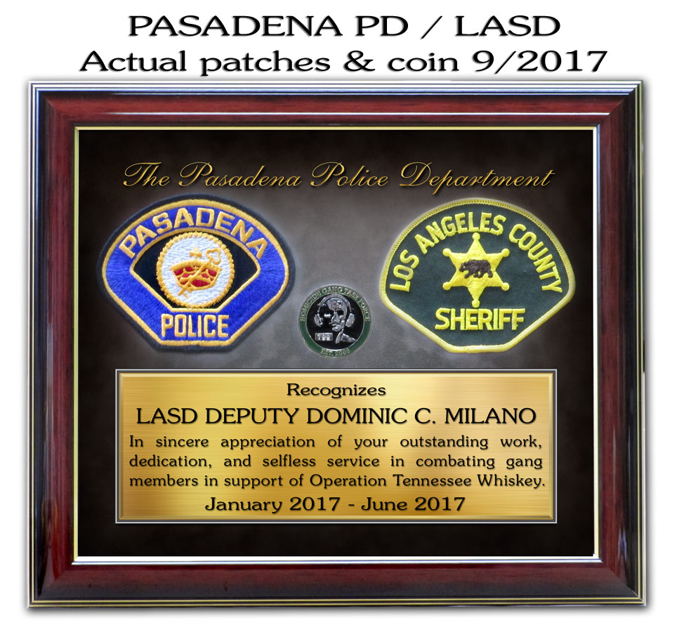 Pasadena PD and LASD Joint Task Force from Badge Frame