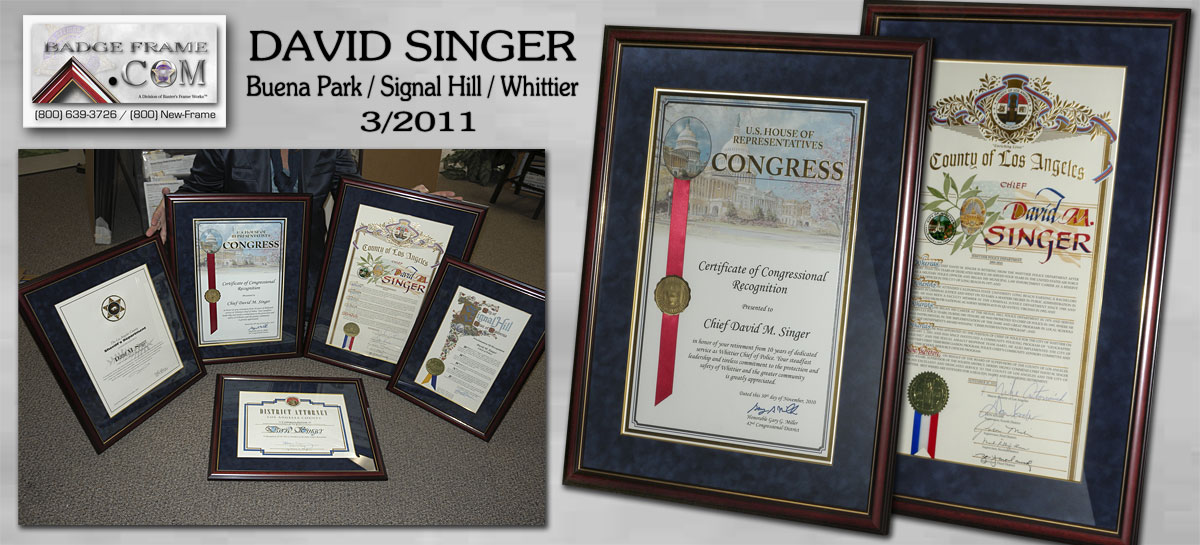 David Singer - Certificates