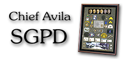 Chief
                  Avila