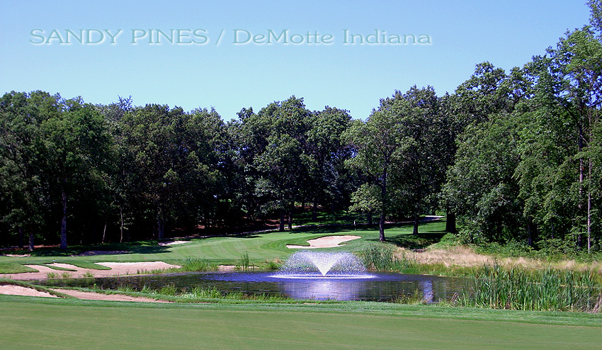 Sandy Pines 2