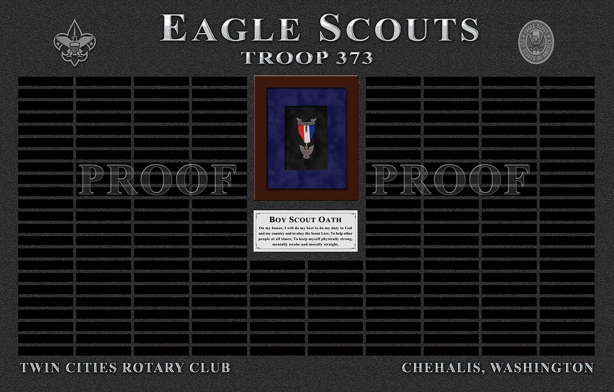 Eagle Scout Troop 373