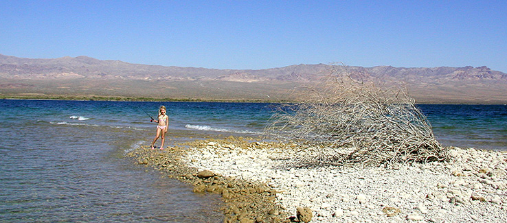 Lake Mohave