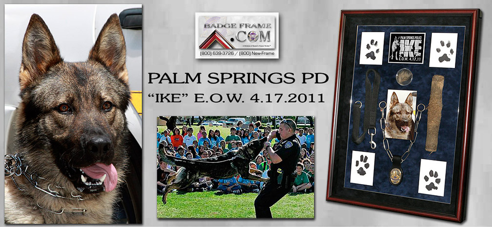 IKE - Palm Springs PD