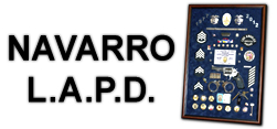 Navarro - LPAD