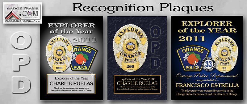 Orange PD -
                  Recognition Plaques