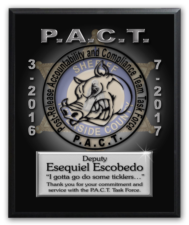 P.A.C.T. Recognition from Badger Frame