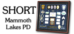 Short - Mammoth Lakes PD